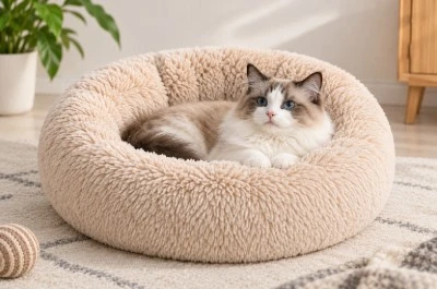 Cat Bed Cat Bed
