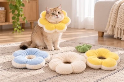 Pet Collar Pet Collar