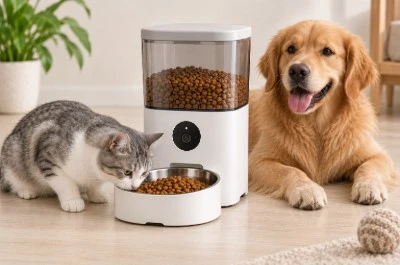 Pet Feeder Pet Feeder
