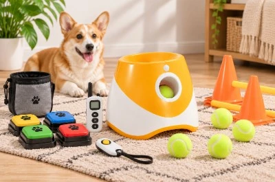 Pet Intelligent Training Pet Intelligent Training