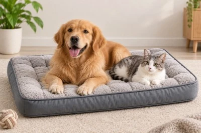 Pet Pad Pet Pad